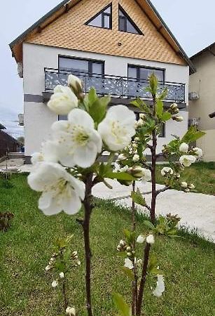 Hotel Casuta Noastra - Sulina Exterior foto